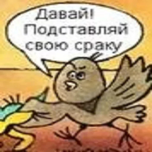 Telegram stiker «ПОДБОРКА МЕМОВ part 11» ?