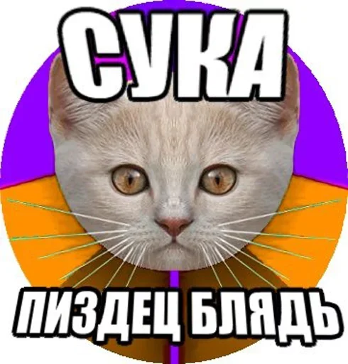 Telegram stiker «ПОДБОРКА МЕМОВ part 4» ?