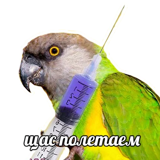 ПОДБОРКА МЕМОВ part 7 sticker 🙁
