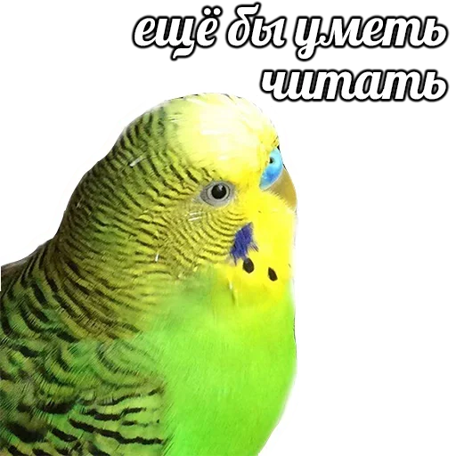 ПОДБОРКА МЕМОВ part 7 sticker 😭