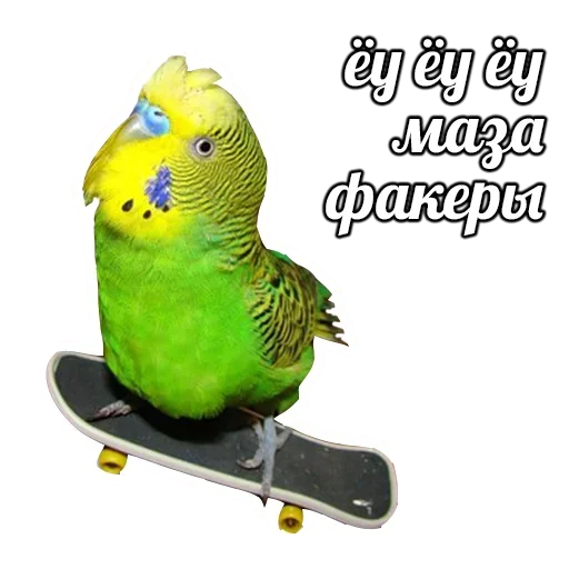 ПОДБОРКА МЕМОВ part 7 sticker 🥳