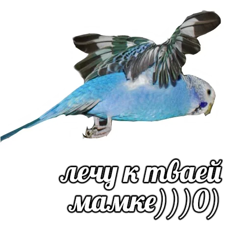 ПОДБОРКА МЕМОВ part 7 sticker 😡