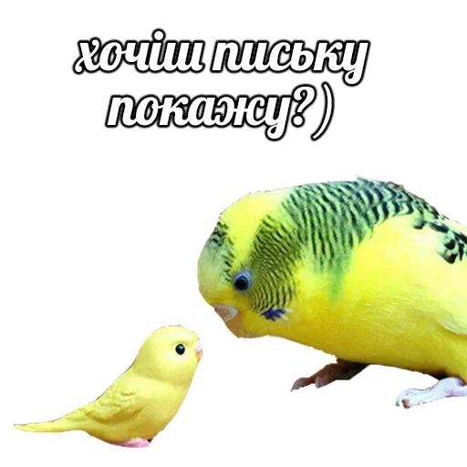 ПОДБОРКА МЕМОВ part 7 sticker 🥺