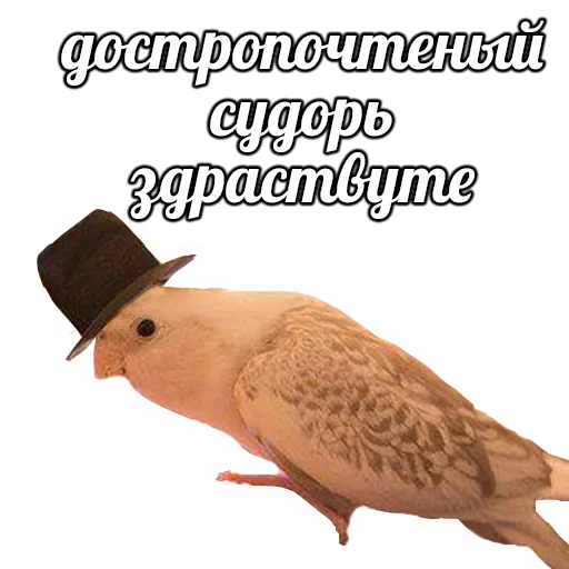 ПОДБОРКА МЕМОВ part 7 sticker 😩