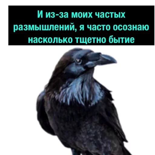 Telegram stickers Полный Деградач