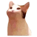 popping_cat_animated emoji 🙃