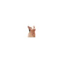 popping_cat_animated emoji 😊