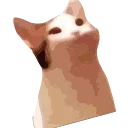 popping_cat_animated emoji 😊