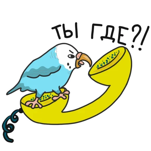 Telegram Sticker «Попугай Кеша» 🥺