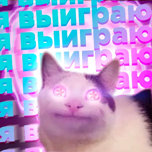 Telegram stiker «Cats memes» 😇