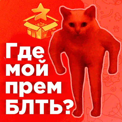 Telegram stiker «Cats memes» 🤬