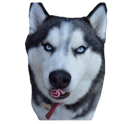 Telegram Sticker «Dogs» 😟