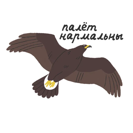 Telegram Sticker «ptushki» 🦅