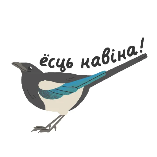 Telegram Sticker «ptushki» 📰