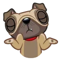 Fred the Pug emoji 😁