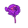 purplerandom emoji 🌷