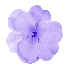 Эмодзи Purple | Фиолетовый 🌺