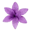 Purple | Фиолетовый emoji 💜