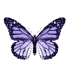 Эмодзи Purple | Фиолетовый 🟪