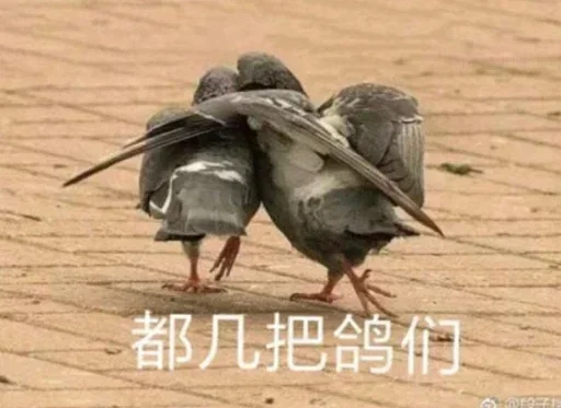 Telegram stiker «球速 秋刀鱼» 😂