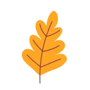 autumn 🍂 emoji 🍂