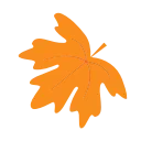 autumn 🍂 emoji 🍁