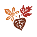 autumn 🍂 emoji 🍂