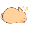 Telegram emoji «🐰 ⊹ кроля  ֗  ✧» 🐰