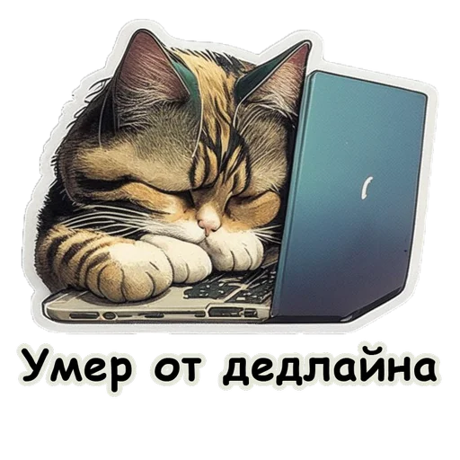 Стікер Telegram «Рабочие коты» 😴