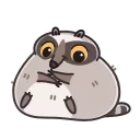 Raccoon Days emoji 🥺