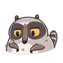 Raccoon Days emoji 😳