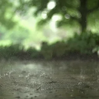Стікер Дождь 💦