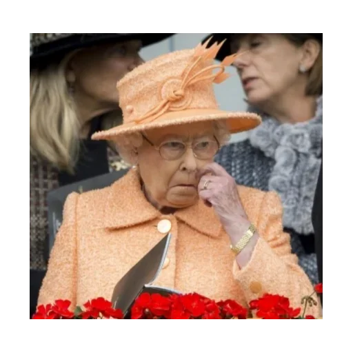 Rainha Elizabeth emoji 👃