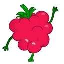 Raspberry  emoji 🖐