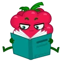 Raspberry  emoji 📖