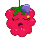 Raspberry  emoji 😴