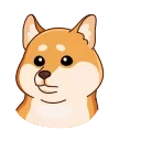 Shiba Inu emoji 🤨