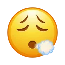 Емодзі Animated Emoji 😮‍💨
