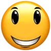 Эмодзи телеграм Roblox face emoji