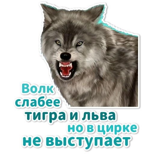Telegram stiker «Клуб Романтики» 🎪