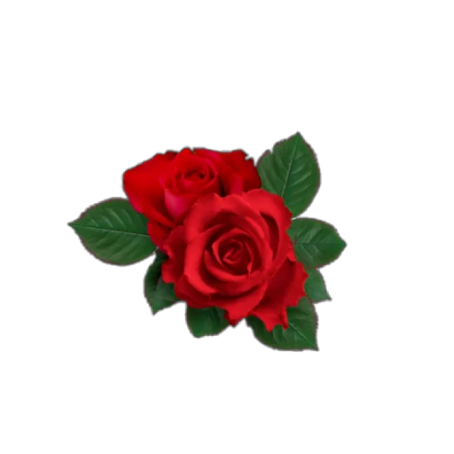 Rosedea stiker 🌹