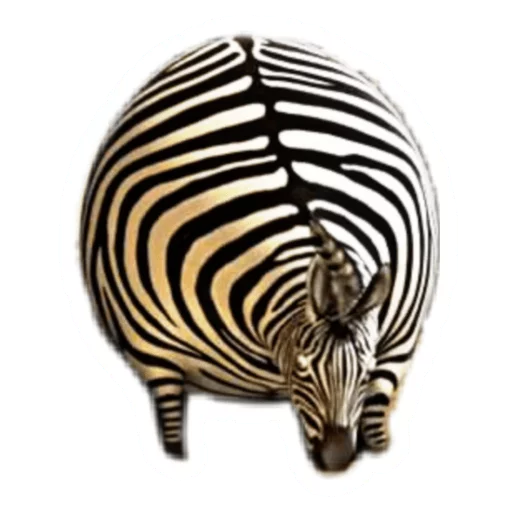Round Animals  sticker 🦓
