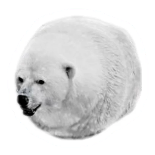 Telegram Sticker «Round Animals» 🐐