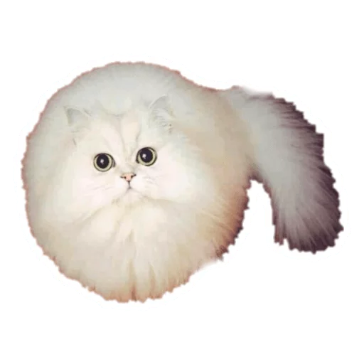 Telegram Sticker «Round Animals» 🏐