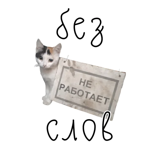 Telegram stiker «коты ишачат на заводе» 🤐