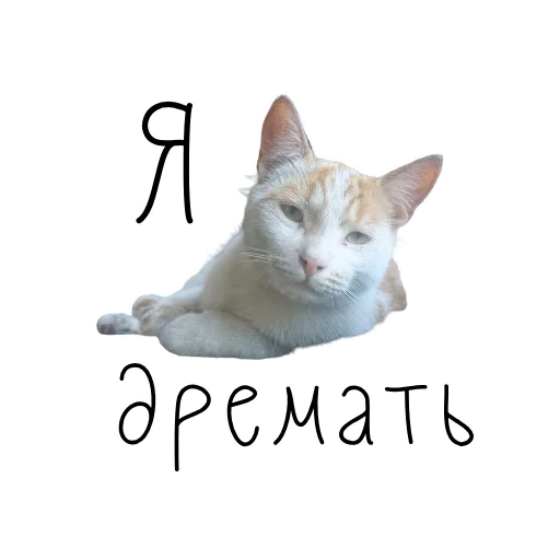 Telegram stiker «коты ишачат на заводе» 🏠