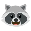raccoons emoji 😀