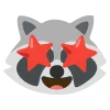 raccoons emoji 🤩