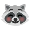 raccoons emoji 😊