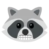 raccoons emoji 😬